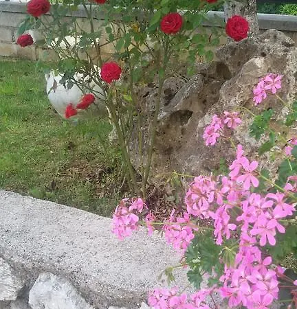Rossetti 拉奎拉